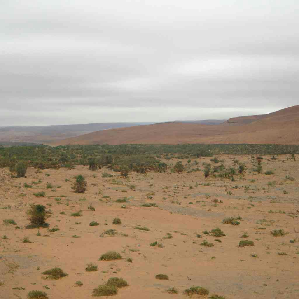 Post Image Explorez la magie du désert d’Agafay Marrakech: Guide ultime pour une aventure inoubliable ! 0