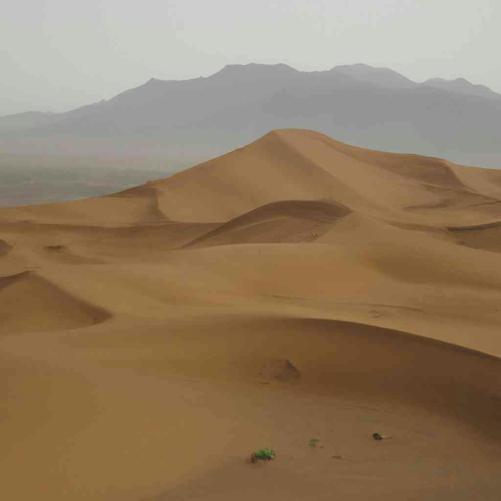 Post Image Explorez l’excitation du désert de Marrakech lors d’une excursion inoubliable 1